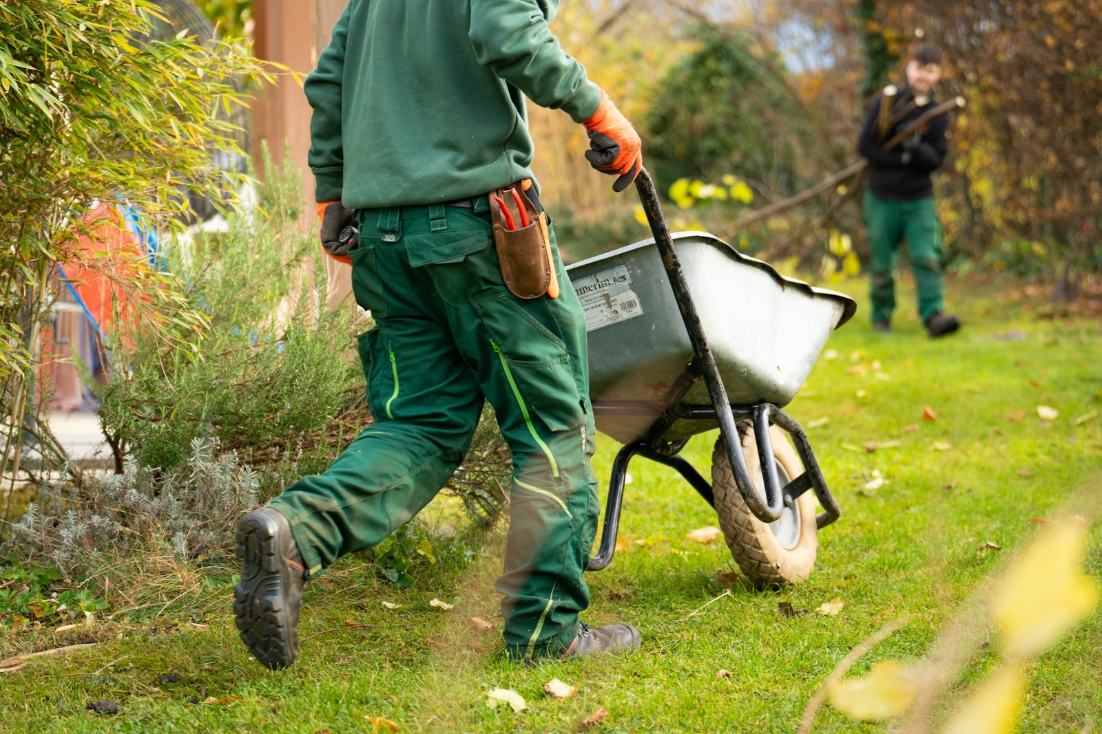 Jardinier en tenue verte poussant une brouette sur une pelouse d'automne