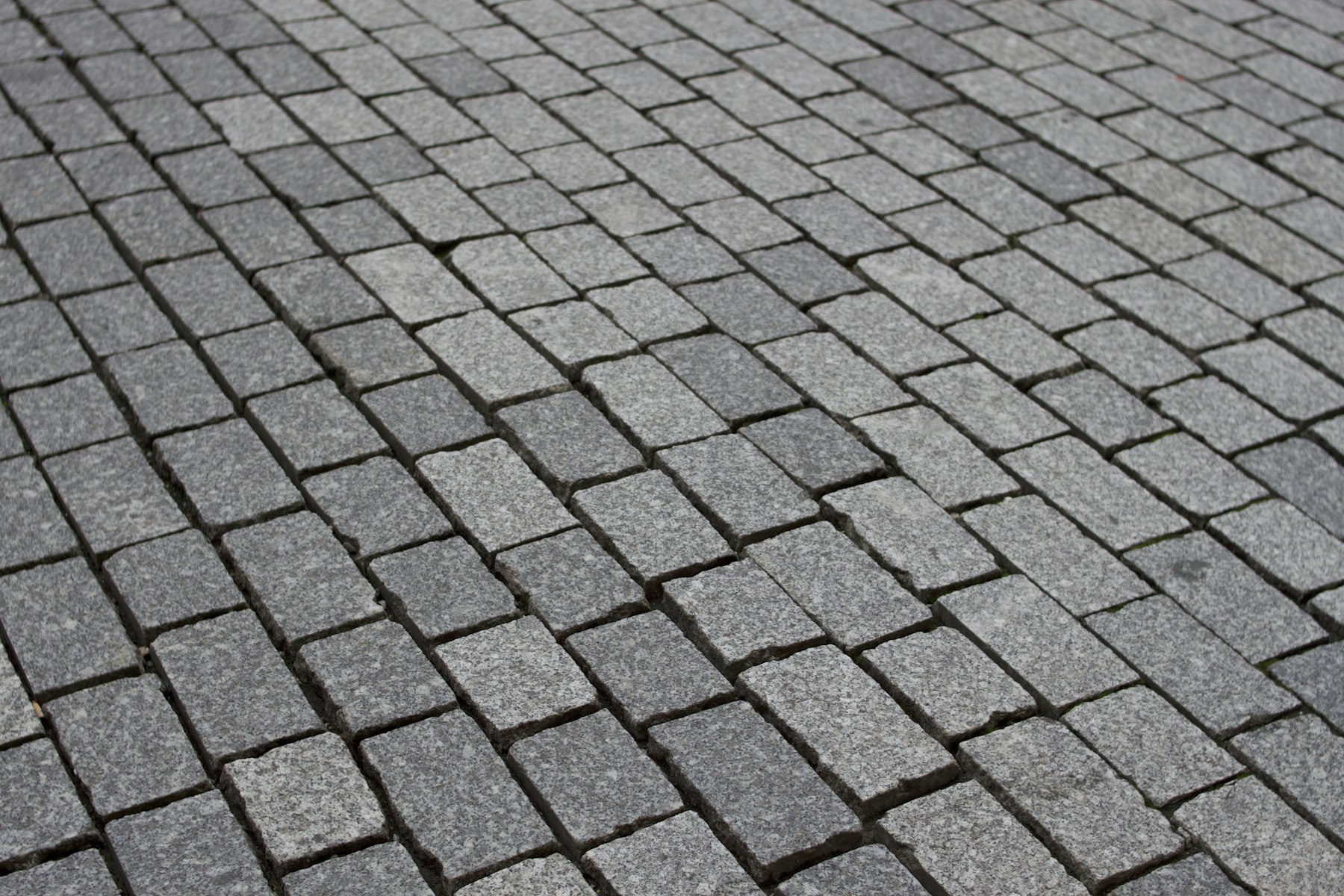 Dallage en pavés de béton gris, propre